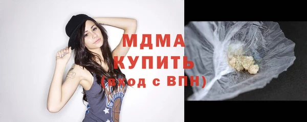 стаф Алзамай