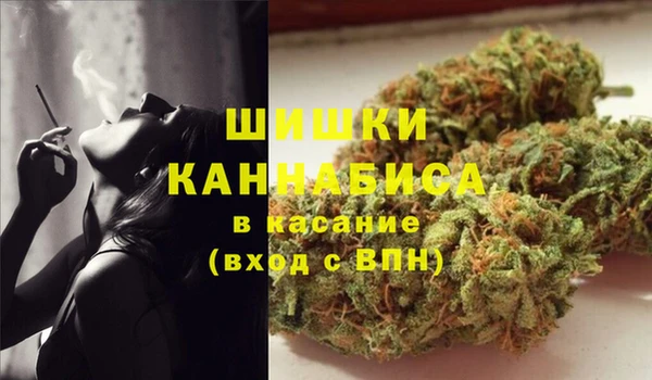 стаф Алзамай