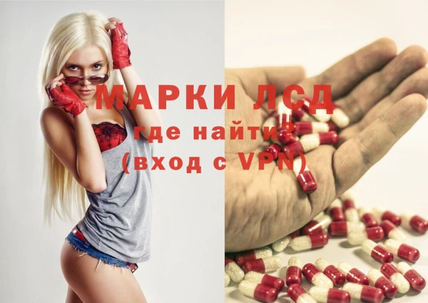 стаф Алзамай