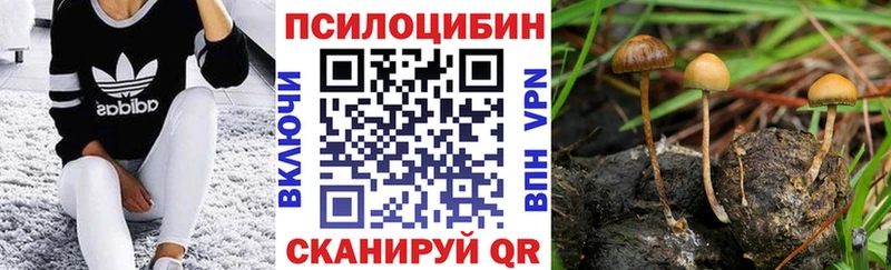 Галлюциногенные грибы прущие грибы  kraken зеркало  Арамиль 